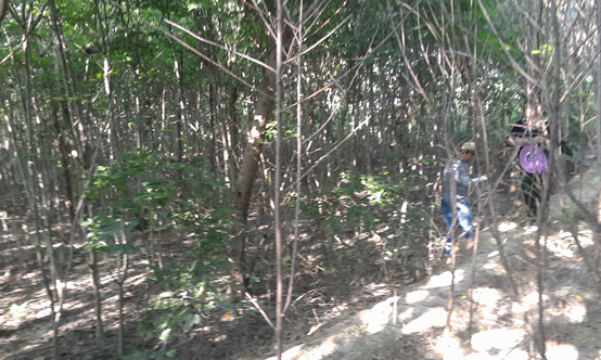 �ϳ���(j��ng)�_�^(q��)�������ո������(g��u)�������������c��������������c���Ŀ