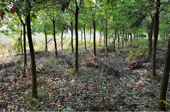 ���Ϸ���վ���¼��g(sh��)�a(ch��n)�I(y��)�_�l(f��)�^(q��)**���B(t��i)��(j��ng)���l(f��)չ���޹�˾�����ټ��w�����ϵķ������C���O�估��������Y�a(ch��n)�Ј��rֵ�u�����Ŀ����