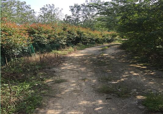 ���Ϸ���վ���¼��g(sh��)�a(ch��n)�I(y��)�_�l(f��)�^(q��)**������e���޹�˾�����ټ��w�����ϵķ��ݡ���ľ����������Y�a(ch��n)�Ј��r(ji��)ֵ�u�����(xi��ng)Ŀ����