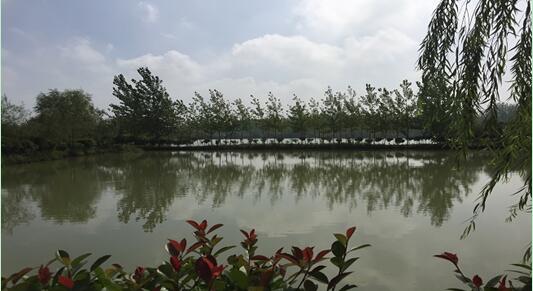 ���Ϸ���վ���¼��g(sh��)�a(ch��n)�I(y��)�_�l(f��)�^(q��)**������e���޹�˾�����ټ��w�����ϵķ�������ľ����������Y�a(ch��n)�Ј��r(ji��)ֵ�u�����(xi��ng)Ŀ����